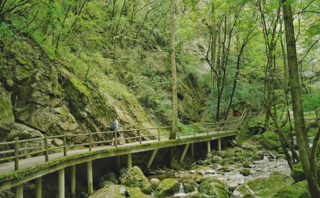 寧夏銀川出發(fā)4日自駕：牛背梁、柞水溶洞、陳爐古鎮(zhèn)、終南山寨、袁家村4日自駕游