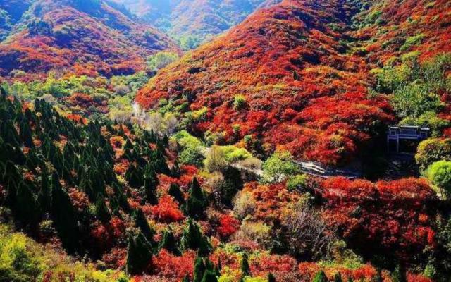 北京出發(fā)河北山東8日自駕：石頭村、西柏坡、白鹿溫泉、王硇村8日自駕